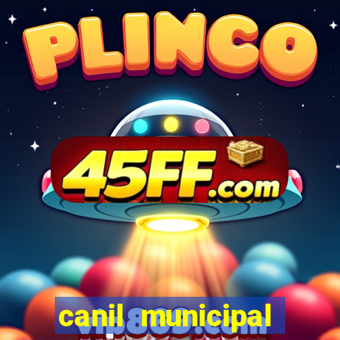 canil municipal porto alegre